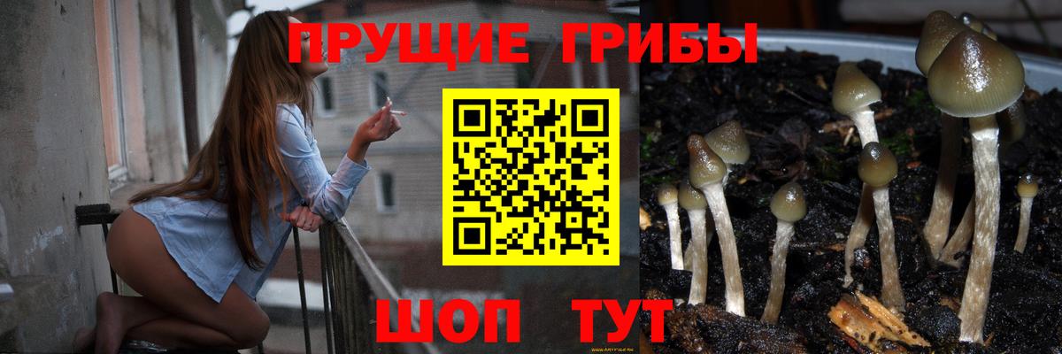 Алексеевка  Псилоцибиновые грибы ЛСД  Вход с VPN 